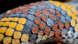 a close - up shot of a tire from a car
