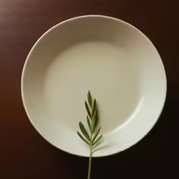 a white plate that has been placed on a wooden table