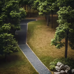 a pathway between two trees lined with stones