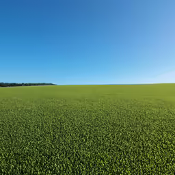 green crops and trees on the horizon of blue sky
