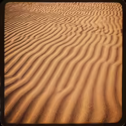 the top half of an empty area has many small ripples