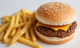 an extremely tasty hamburger with cheese, fries