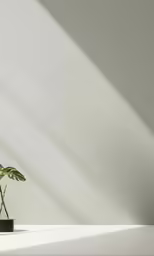 a glass plant with a green leaf in a small pot