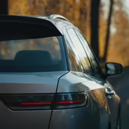 car in the road near trees and yellow leaves