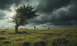 a lone person standing on the side of a lush green field