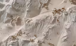 the layers and ruffled materials of some kind of mountain