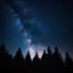 the night sky with clouds and a few trees all in silhouette