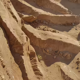a lone animal standing next to a carved out hill