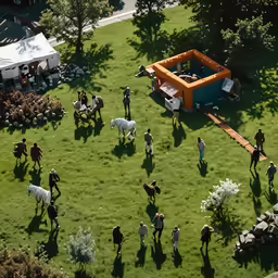 the aerial view of a farm and several horses