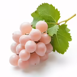 grape with green leaves on a white background