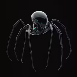 a black spider with its legs crossed and eyes wide open