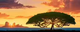 a tree with a sunset view over the ocean,the sun is going down behind a large tree
