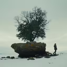 a person standing next to a snow covered tree