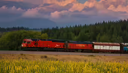 an image of a train on the train tracks,a large long train on a steel track