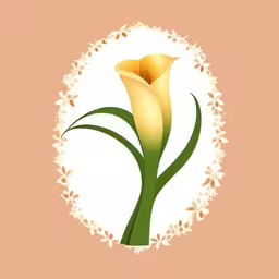 yellow flower that is in a white circle