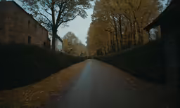 this is an autumn road along a tree lined alley
