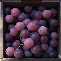 there are lots of grapes that are inside a box
