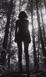 the silhouette of a female standing on rocks in front of trees