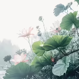 a blurry image of flowers in the middle of plants