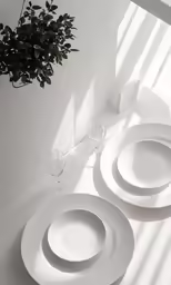 two plates, some glasses, and a small pot of flowers on a white table