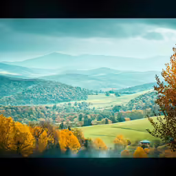 trees and mountains in the distance with colorful leaves
