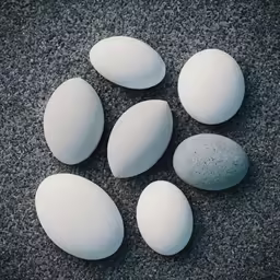 six white rocks sit on the pavement