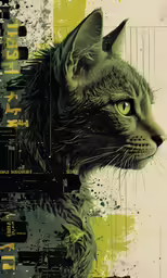 a black and white cat in the background with colors