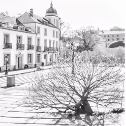 a street scene with a small tree and a building
