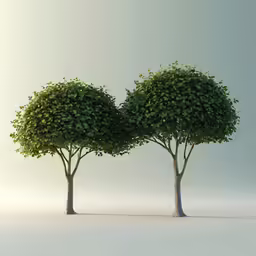 two trees that have green leaves on them