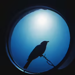 a bird sitting on a stick with blue water