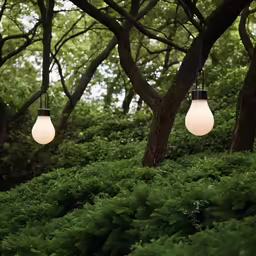 a light pole with two lamps hanging from it