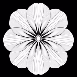 a white flower on a black background,a white flower sitting on top of a black table