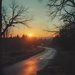 a long empty road on the side of the road with trees