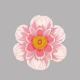 an abstract flower is shown on a grey background,a pink flower on a gray background