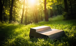 some wood boxes in the grass in front of some trees
