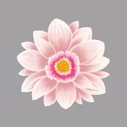 a large pink flower with two petals,a pink flower is depicted on the gray surface,a flower with a yellow center and some pink petals,flower in the center of the frame with dark gray background,a water lily flower with pink petals and yellow center