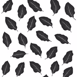 black leaves on a white background