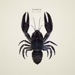 a black crab with claws spread out is depicted in an abstract image