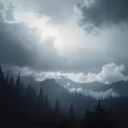 a large dark sky above a forest of trees
