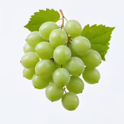 a bunch of green grapes with some leaves