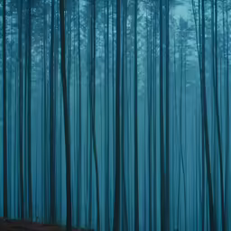tall thin pine trees stand tall and the foggy sky is almost obscured by thick blue, dense, towering trees