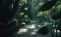 sunlight beaming in a shady tropical garden setting