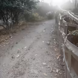 the view down a dirt road, in the early morning