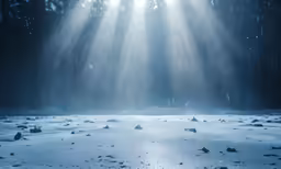 the sun is shining through trees in the snow