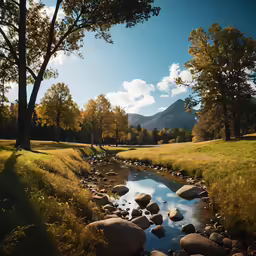 there is some very small river that has rocks in it