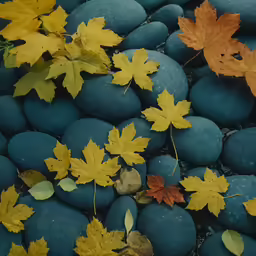 some brown, yellow, and green leaves are laying on blue rocks