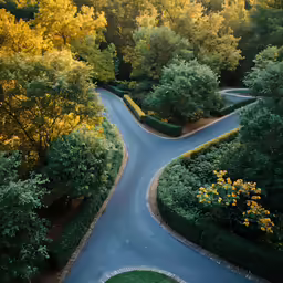 a view of a road near some trees
