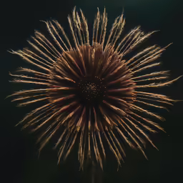 a fireworks that is lit up with red, white and yellow