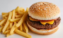a burger and french fries sit on a plate