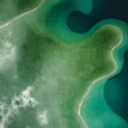 an aerial view of water that looks like grass